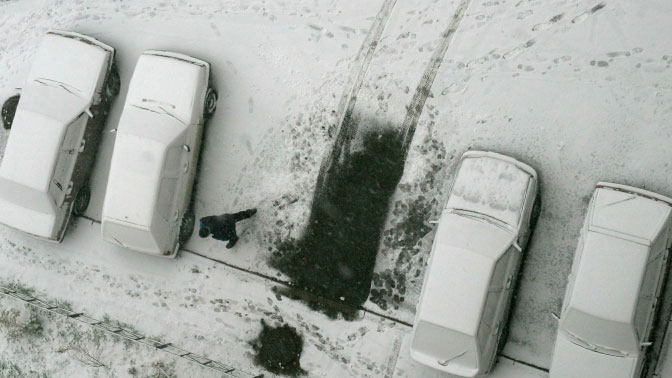Опубликован список самых угоняемых автомобилей в России
