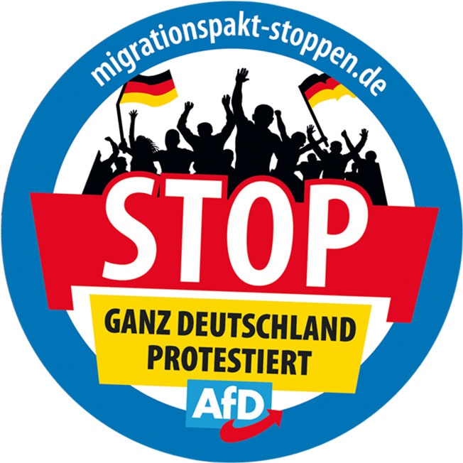Популисты из «Альтернативы для Германии» выдвинулись на протестах против мигрантов.
