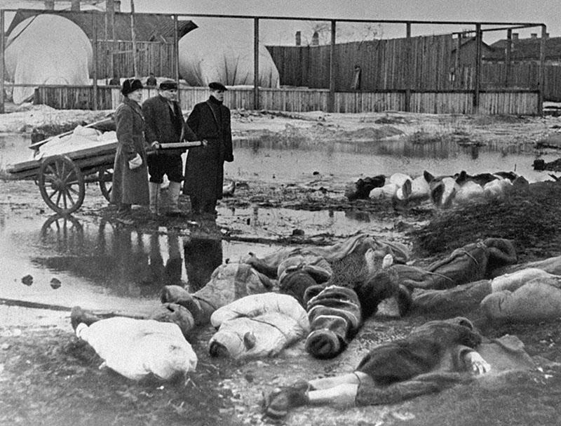 Умерших свозили на Волково кладбище.