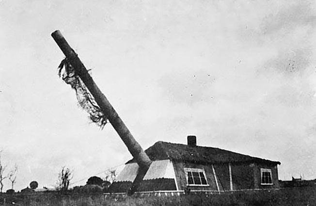 Замаскированное 305 мм орудие германской батареи «Мирус».