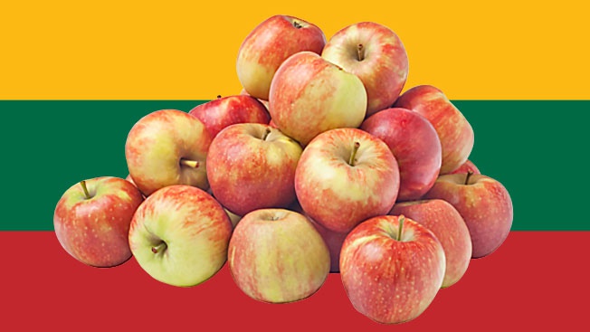 В 1944 году Красную Армию в Литве встречали яблоками, начинёнными иголками