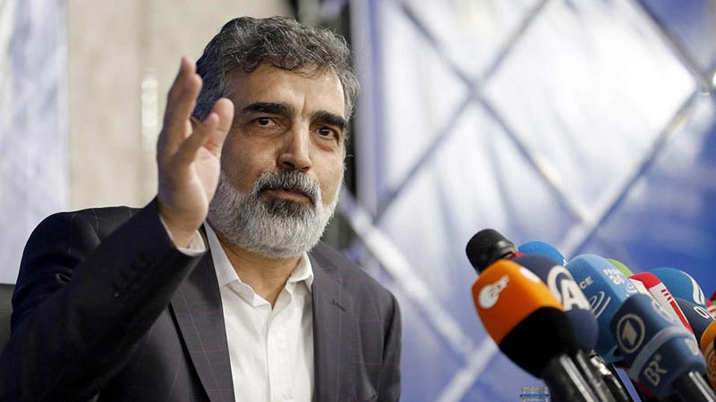 Представитель Организации по атомной энергии Ирана Бехруз Камальванди после американской провокации сообщил, что Тегеран прекратил выполнение некоторых обязательств в рамках СВПД.