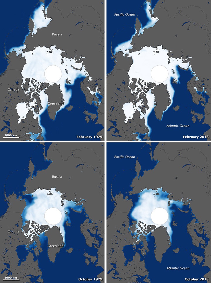 Динамика таяние льдов в Арктике.