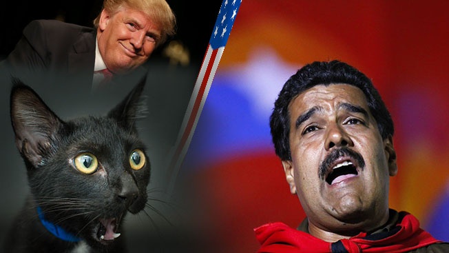 США запустили в ближний круг Николаса Мадуро «чёрную кошку»