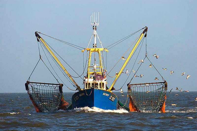 Большинство европейских рыбных компаний ведут свой промысел в британских территориальных водах.