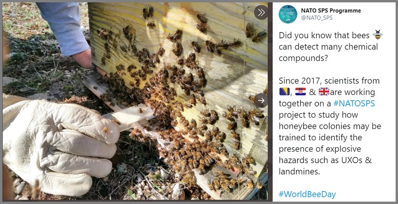 На вооружении натовских сапёрных подразделений в скором будущем появятся пчелиные ульи.