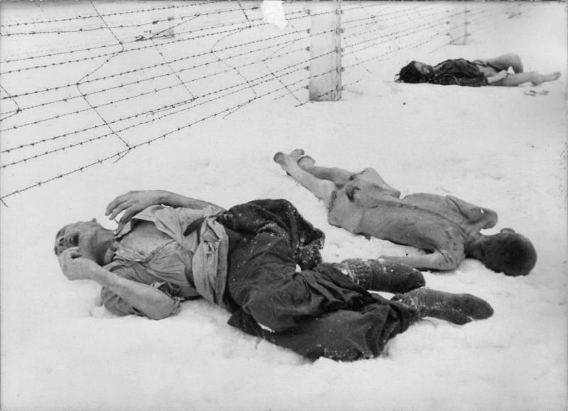 Погибшие заключённые концлагеря Освенцим.