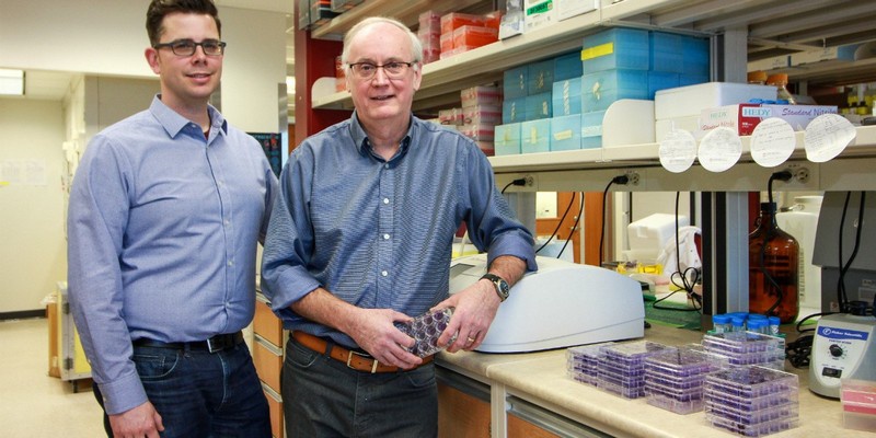 Вирусологи Дэвид Х.Эванс и Райан С.Нойс синтезировали живой вирус лошадиной оспы.