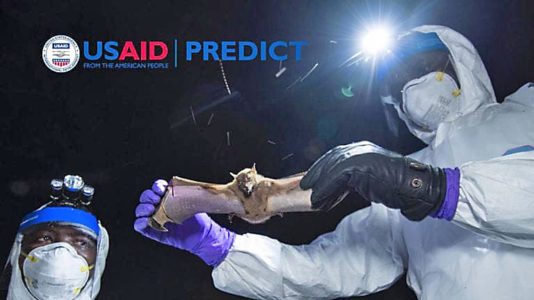 Программа Predict (USAID) собирала базу зоонозных вирусов и создавала методом генной инженерии из них опасные для человека патогенные микроорганизмы.