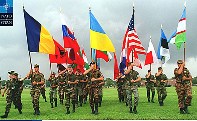 США оказало помощь восточноевропейским странам в рамках программы Partnership for Peace («Партнёрство ради мира»).