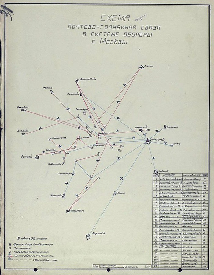 Схема почтово-голубиной связи в системе обороны Москвы.