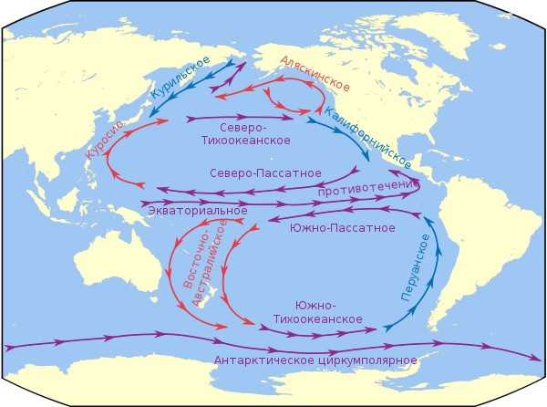 Карта течений Тихого океана.