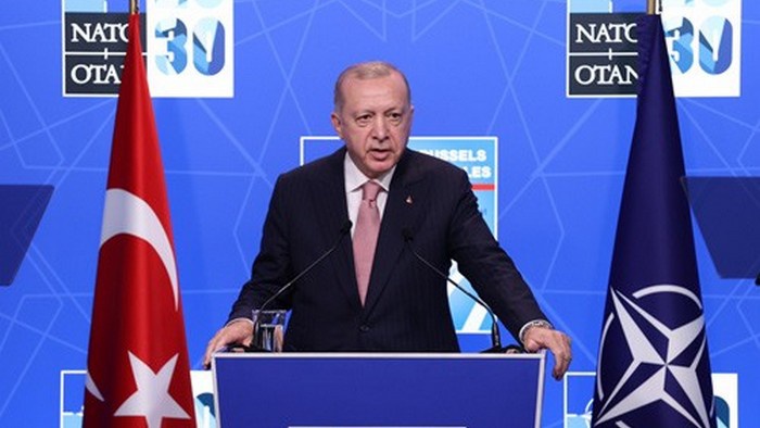 Турция: «возвращение приблудного сына» Эрдогана в лоно НАТО