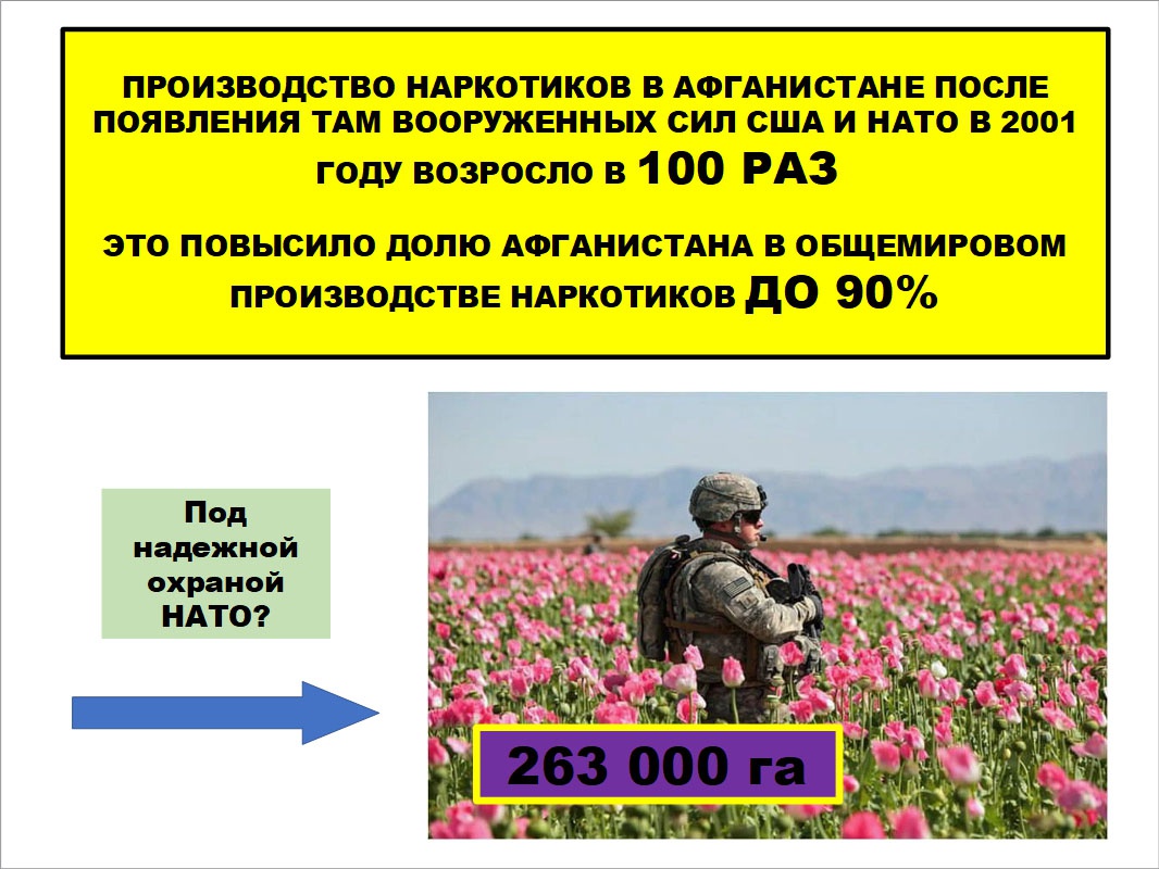 С приходом вооружённых сил США и НАТО производство наркотиков в Афганистане резко возросло.