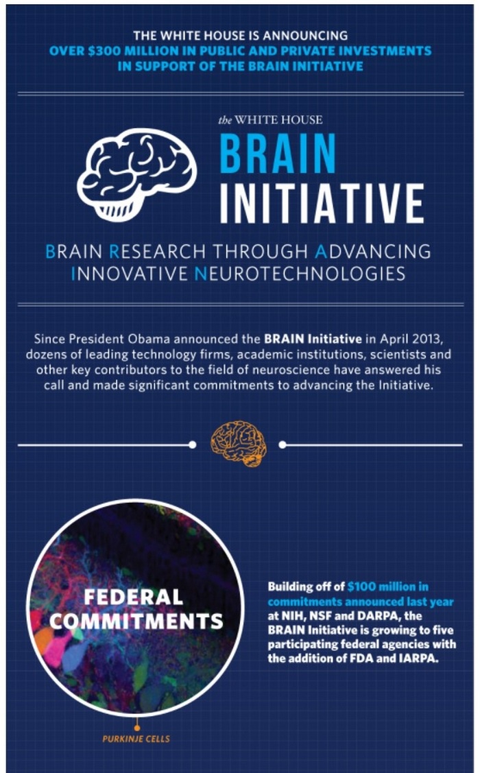 Официально было объявлено, что программа US BRAIN Initiative «направлена на революционное изменение нашего понимания человеческого мозга».