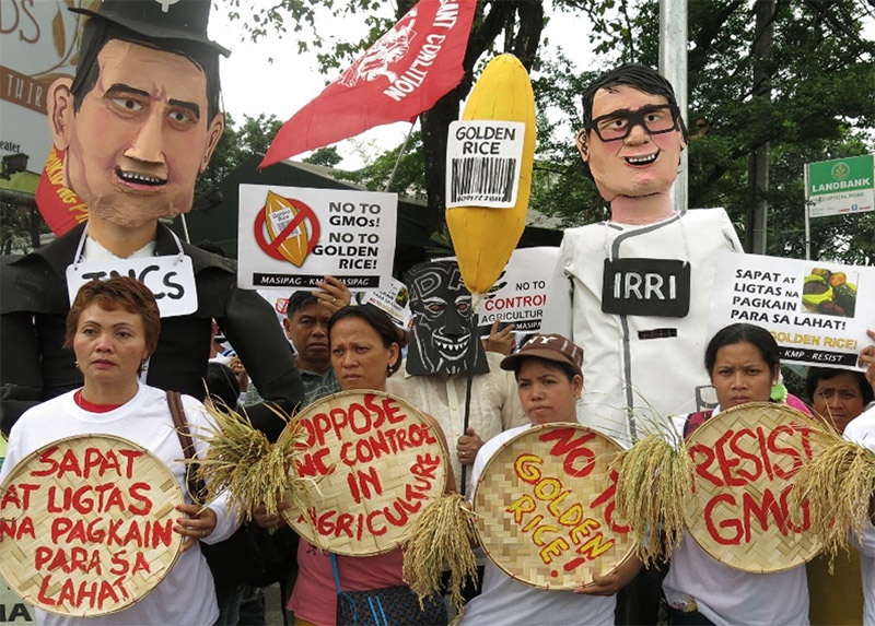 Протестующие против «золотого риса» фермеры.