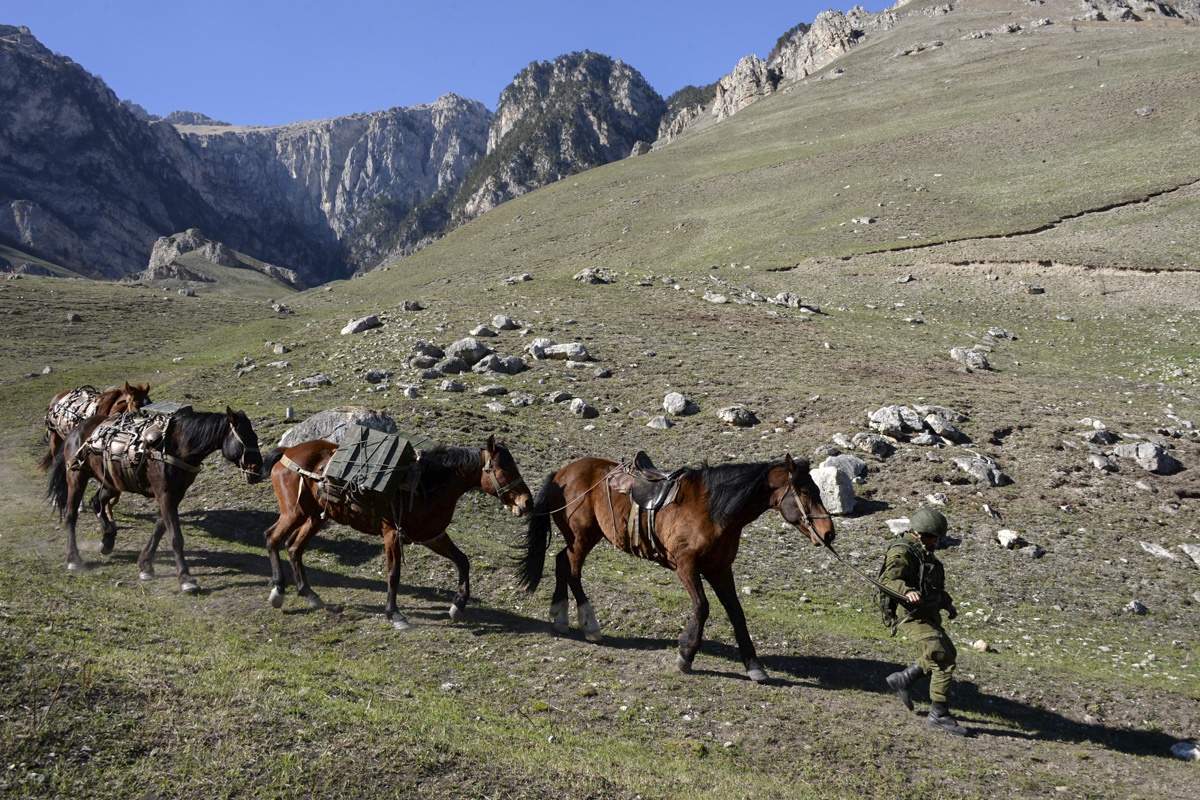 Лошади в горах Карачаево Черкесии