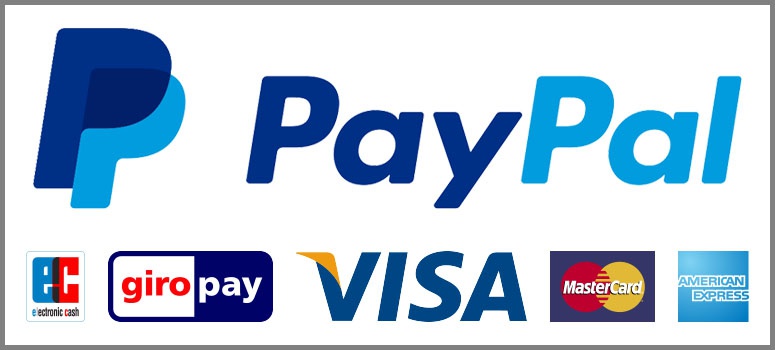 У США есть PayPal - крупнейшая дебетовая электронная платёжная система, конкурент SWIFT.