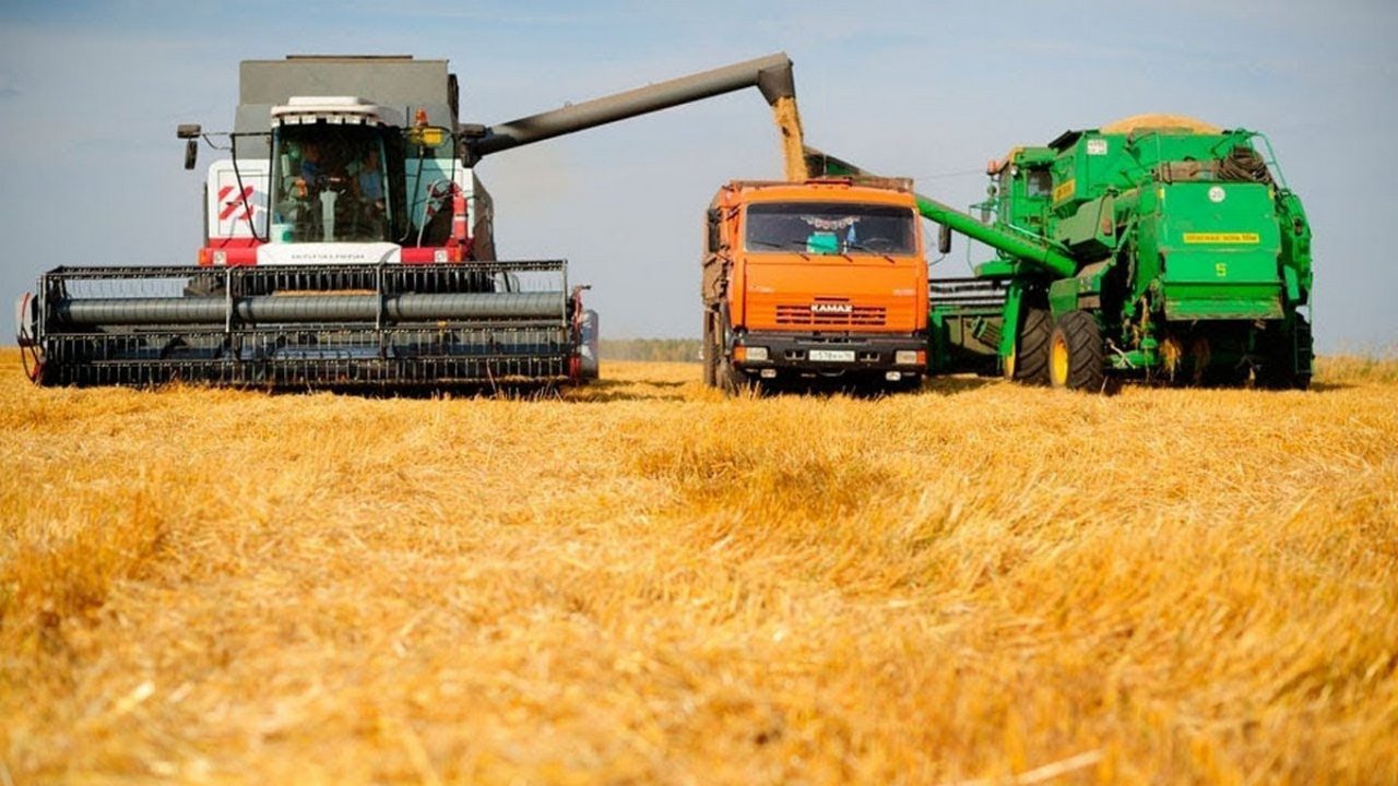 В прошлом году Россия получила около 130 млн тонн зерновых.