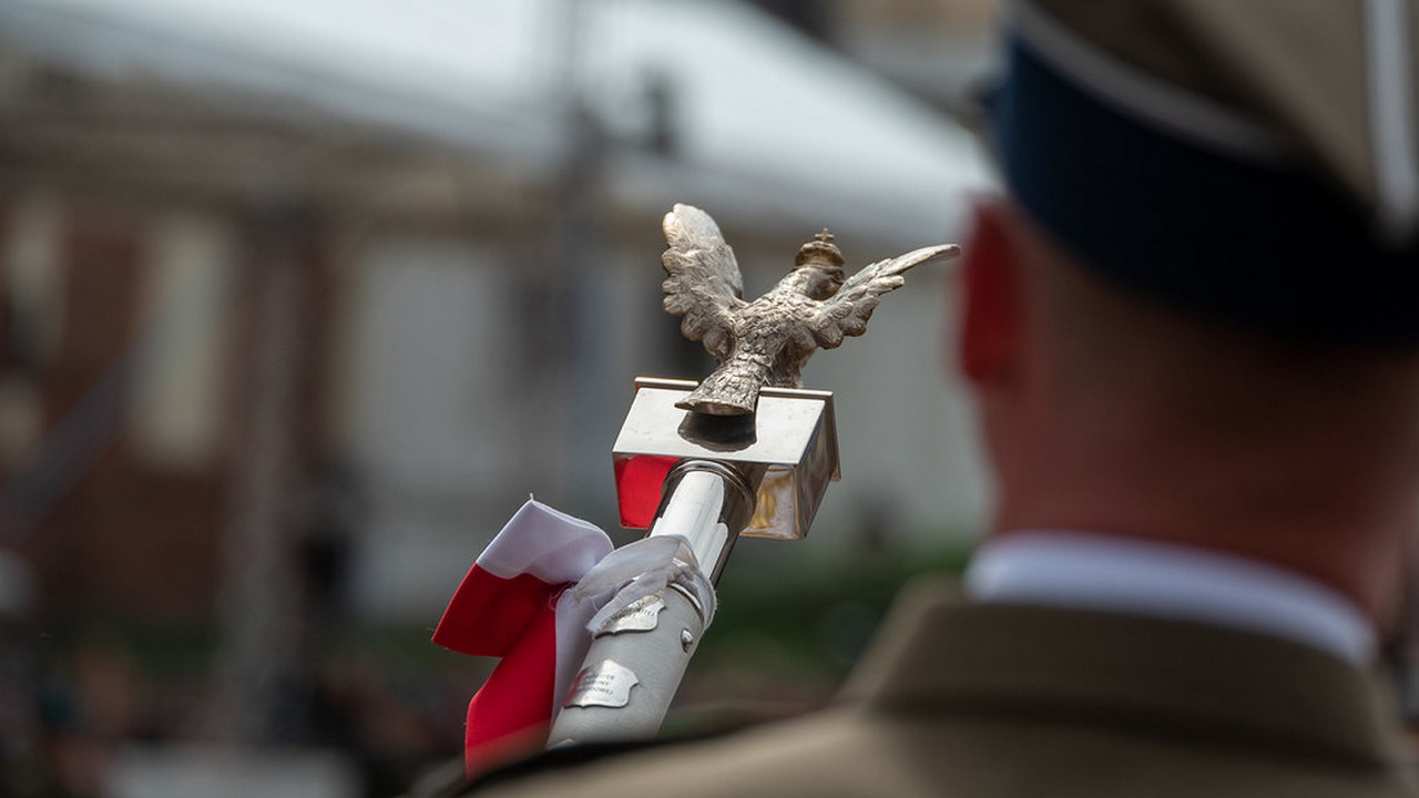 Польша одна идёт на войну: Лжедмитрия уже ищут