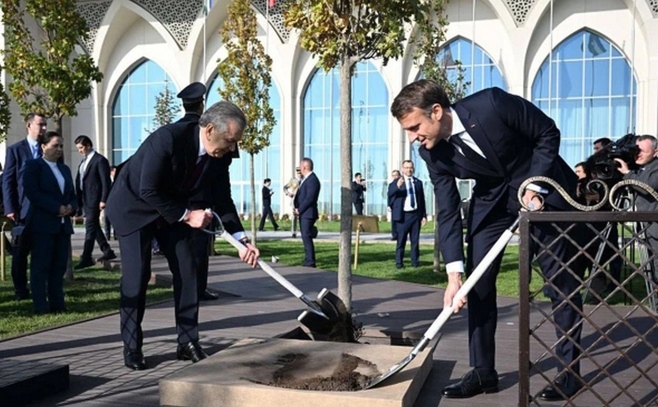 После переговоров Шавкат Мирзиёев и Эмманюэль Макрон высадили дерево дружбы между народами Узбекистана и Франции, 2 ноября 2023 г.