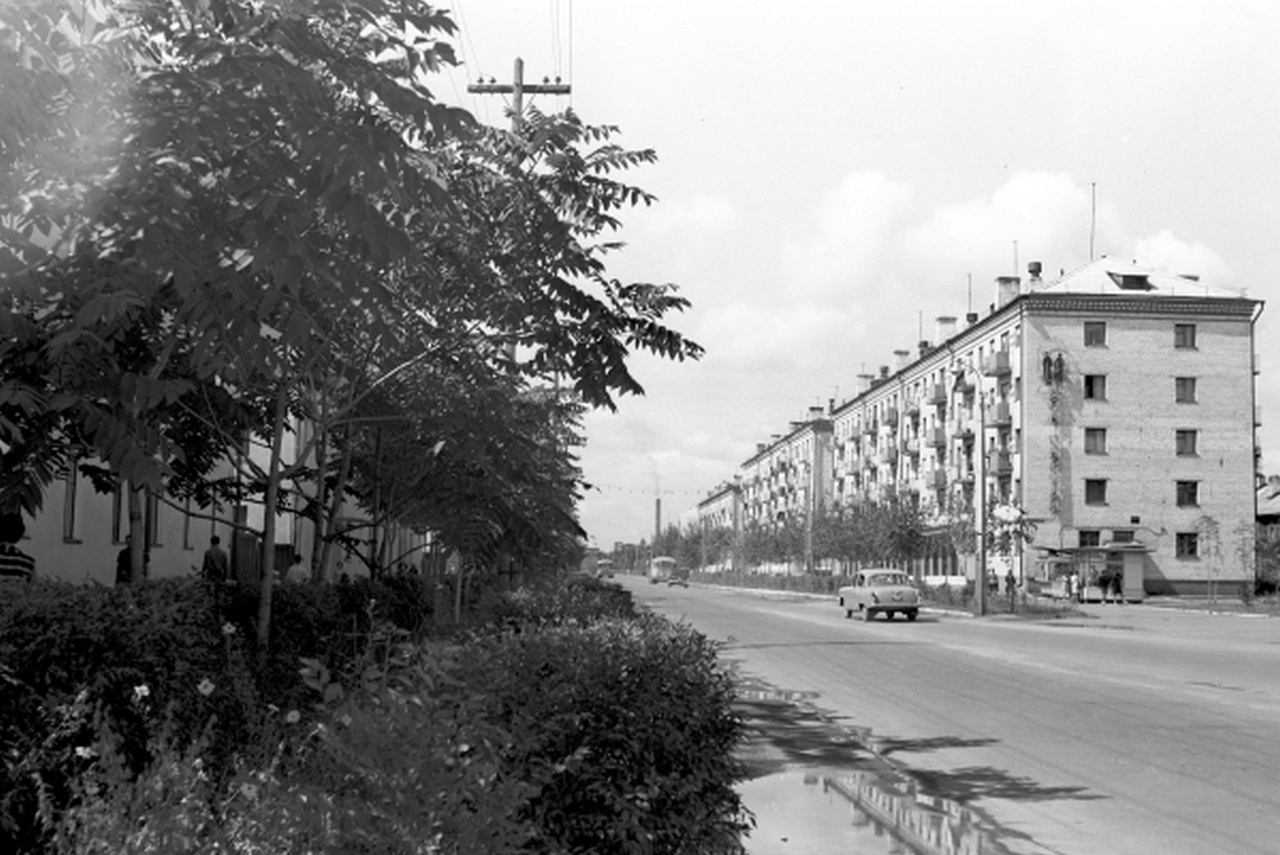 Улица Шолом-Алейхема в Биробиджане, Еврейская автономная область, 1967 г.