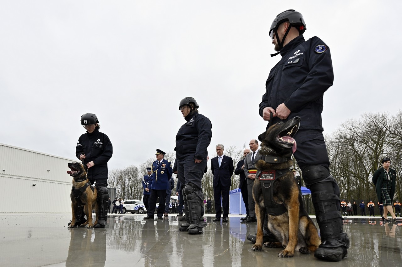 Полиция Брюсселя выполнила команду «Фас».