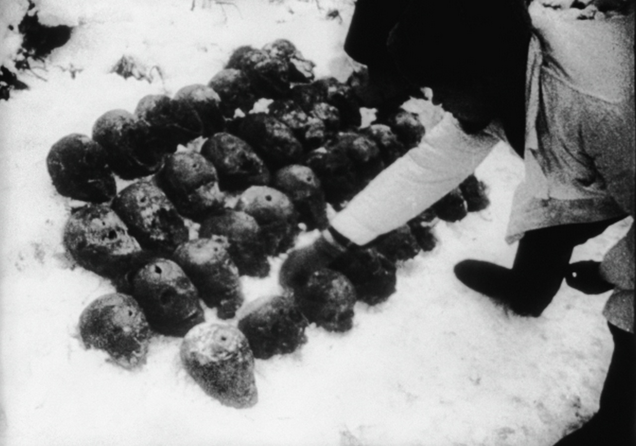 Кадр из советского документального фильма «К вопросу о Катыни» - черепа расстрелянных польских военнопленных, 1943 г.