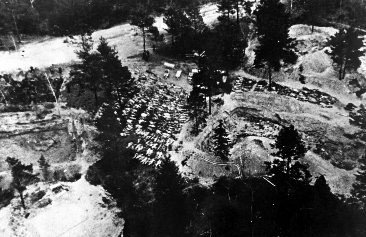 Вид с воздуха на место эксгумации с рядами тел польских офицеров, лежащих на земле возле братских могил (съёмка нацистских операторов).
