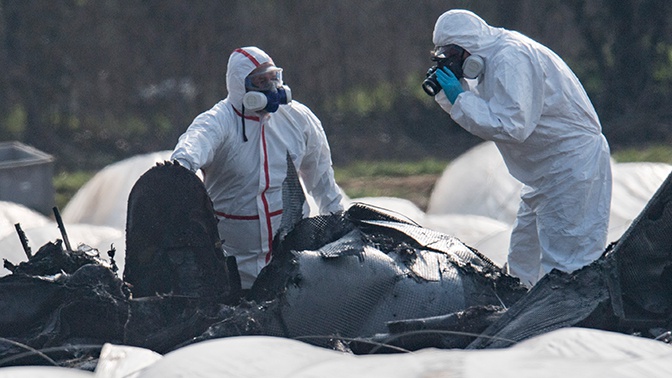Опубликованы показания свидетелей катастрофы самолета совладелицы S7 Опубликованы показания свидетелей катастрофы самолета совладелицы S7