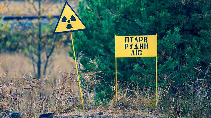 Ученые объяснили, почему после катастрофы в Чернобыле растения не погибли Ученые объяснили, почему после катастрофы в Чернобыле растения не погибли
