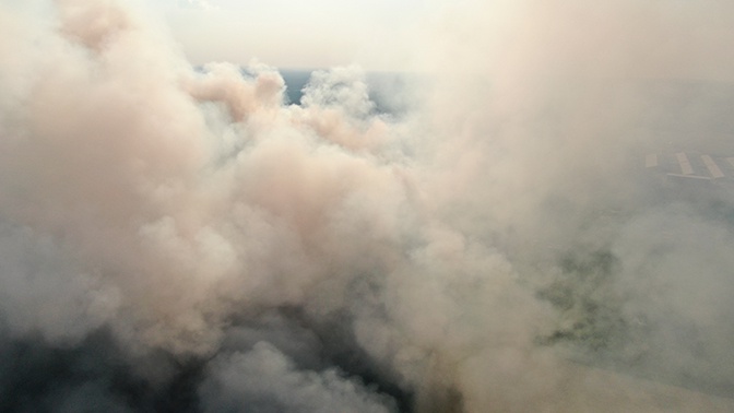 Трагедия планетарного масштаба: ученые рассказали о катастрофических последствиях пожаров в Сибири
