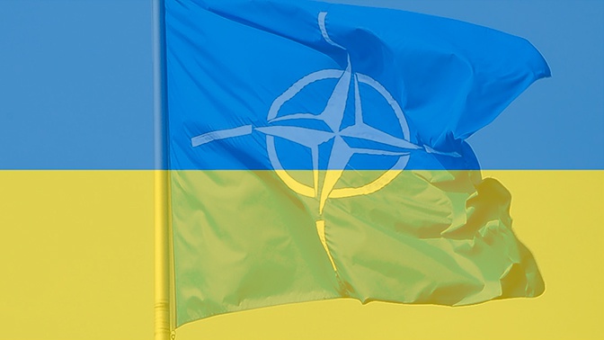 Вице-премьер Украины отказался «стучаться в закрытые двери» НАТО Вице-премьер Украины отказался «стучаться в закрытые двери» НАТО
