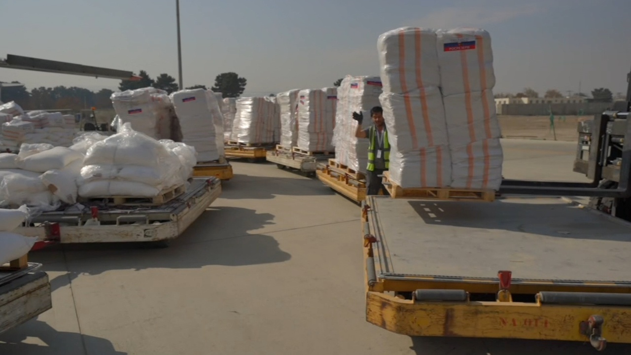 Раскрыт состав гуманитарной помощи, доставленной в Кабул самолетами ВТА России
