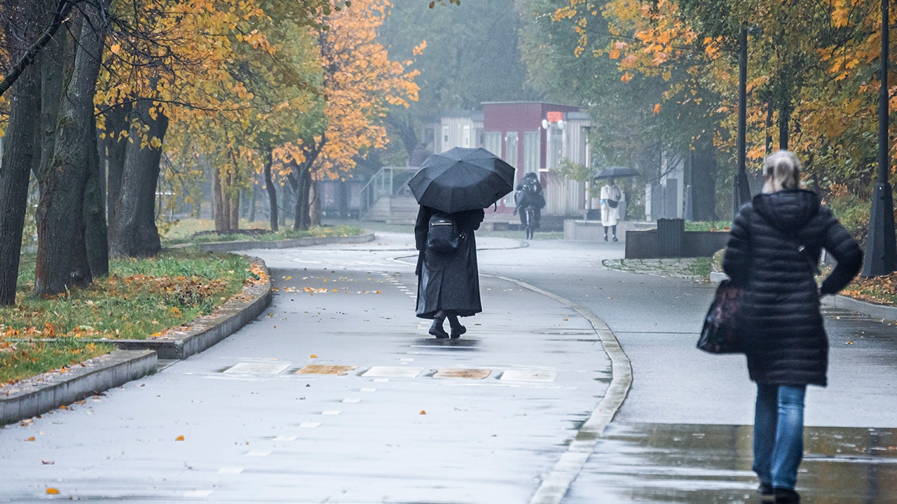 Москвичей предупредили, что предзимье можно ожидать в конце октября