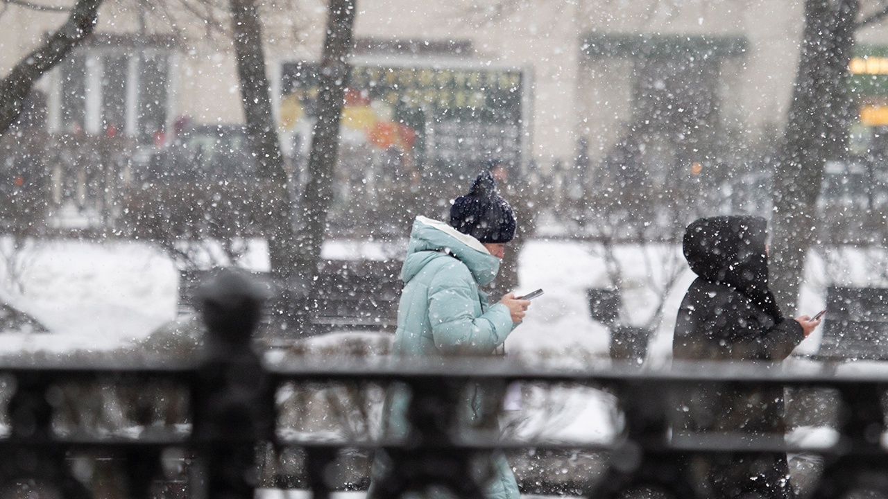 Метеорологическая зима придет в Москву в последнюю пятидневку ноября