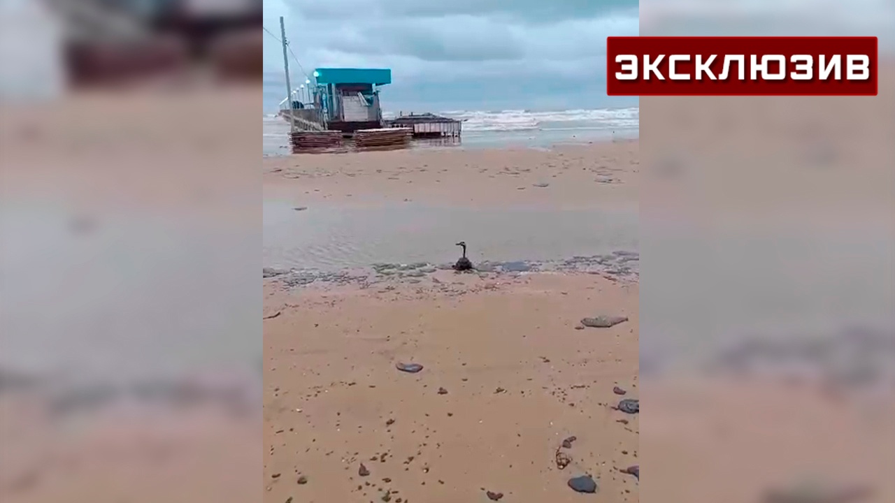 Океанолог предсказал загрязнение мазутом пляжей в Геленджике и Кабардинке