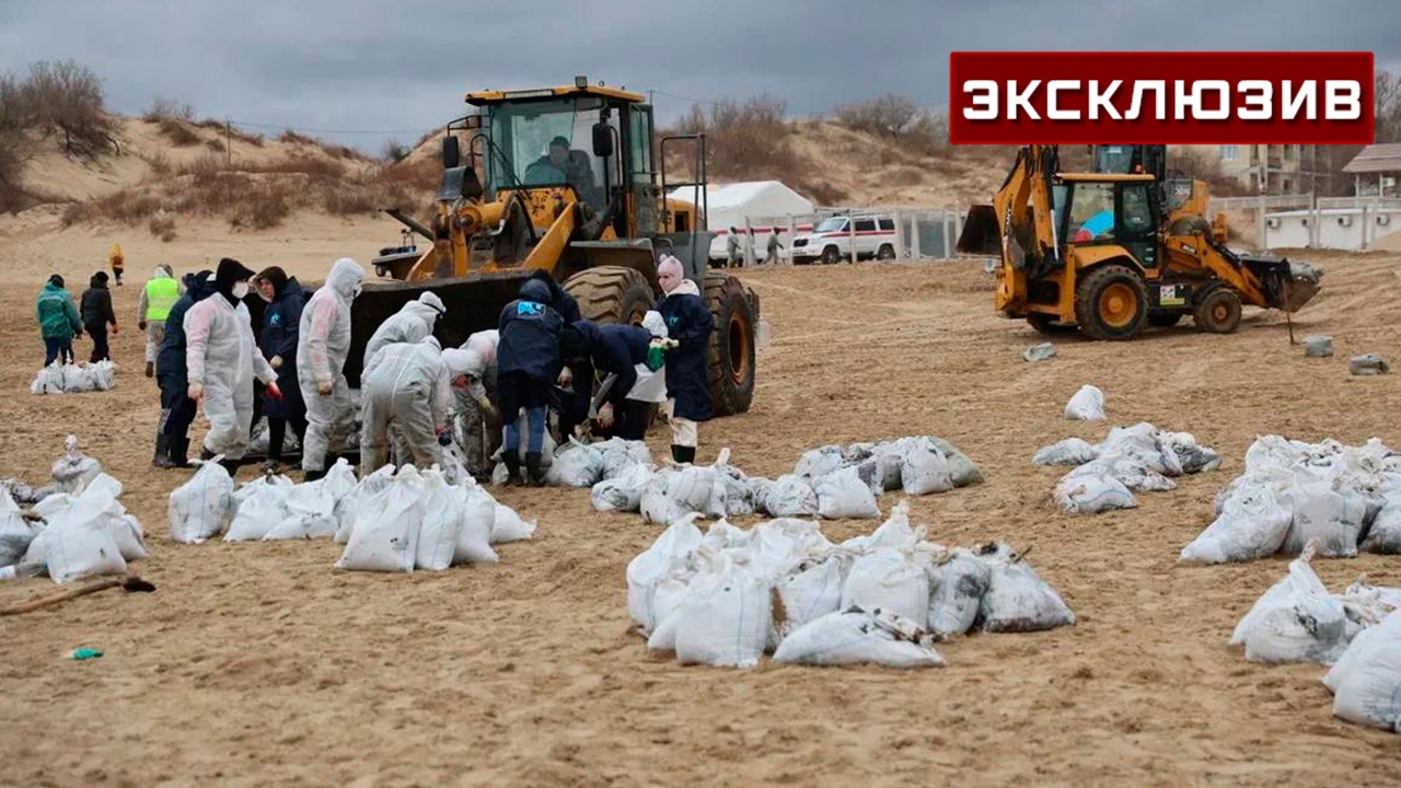 Эколог допустила, что очистка Черного моря от мазута может занять 10 лет