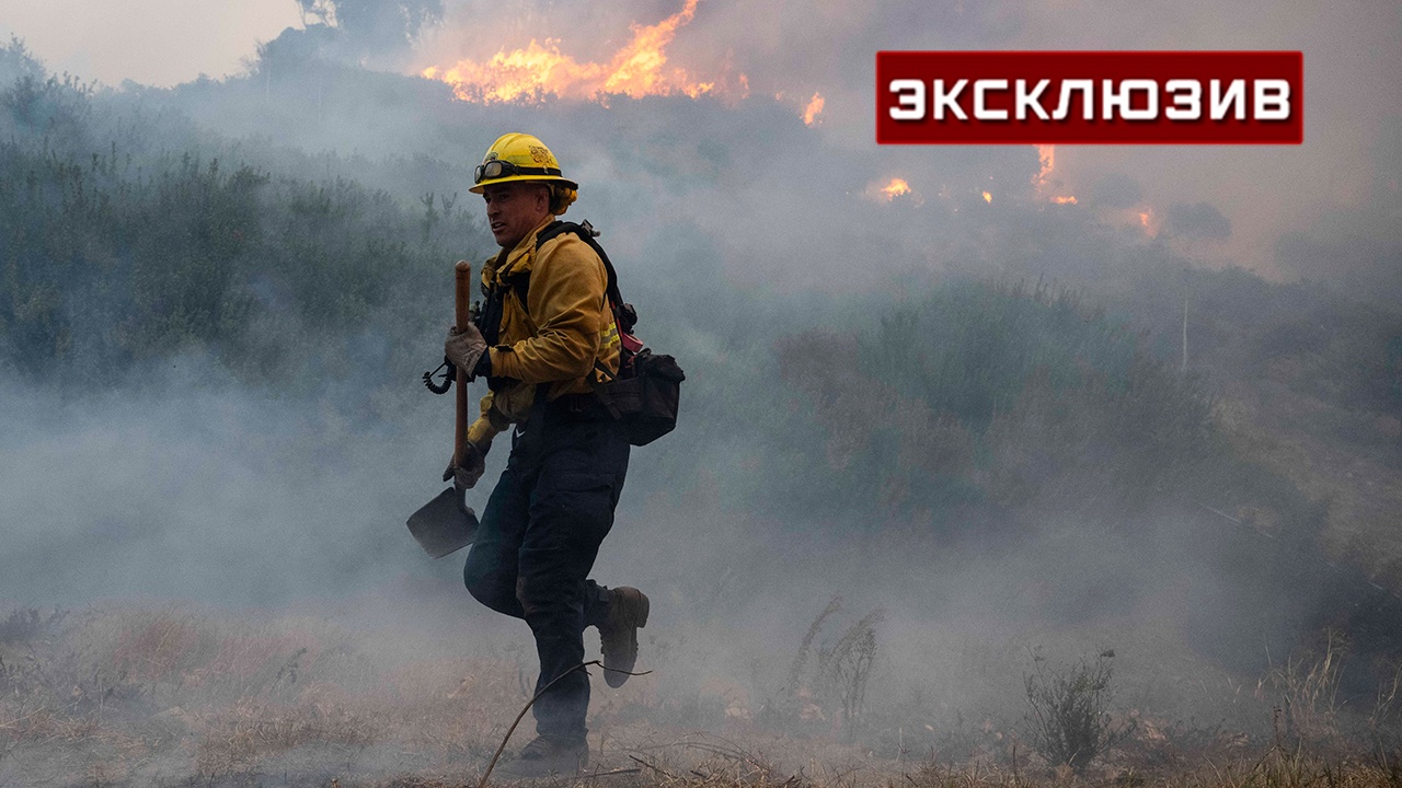 Эколог оценил угрозу уничтожения Лос-Анджелеса лесными пожарами