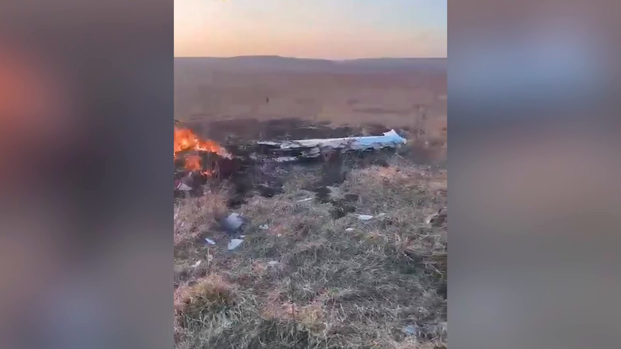 Опубликовано первое видео с места крушения самолета в Подмосковье