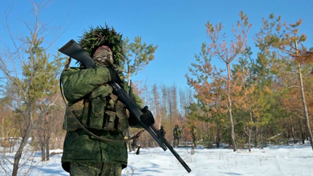 Российские войска освободили Надеждинку, Новоселку и Новоочеретоватое в ДНР 