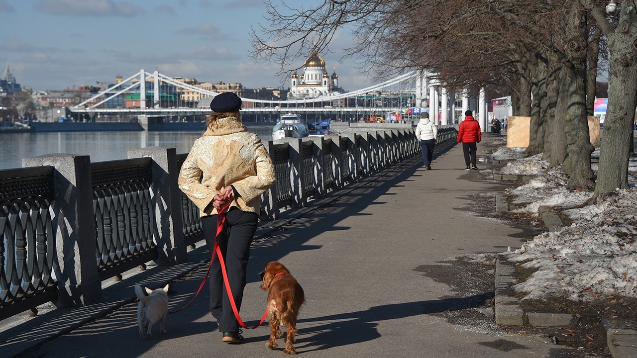 Москвичам рассказали о «подарке» природы на 8 Марта