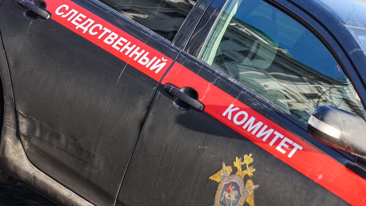 В Москве 15-летняя девочка заступилась за сестру и зарезала отца