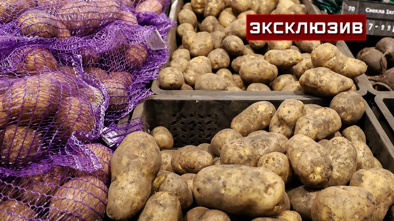 Эксперт объяснил причины сильного подорожания картофеля Эксперт объяснил причины сильного подорожания картофеля