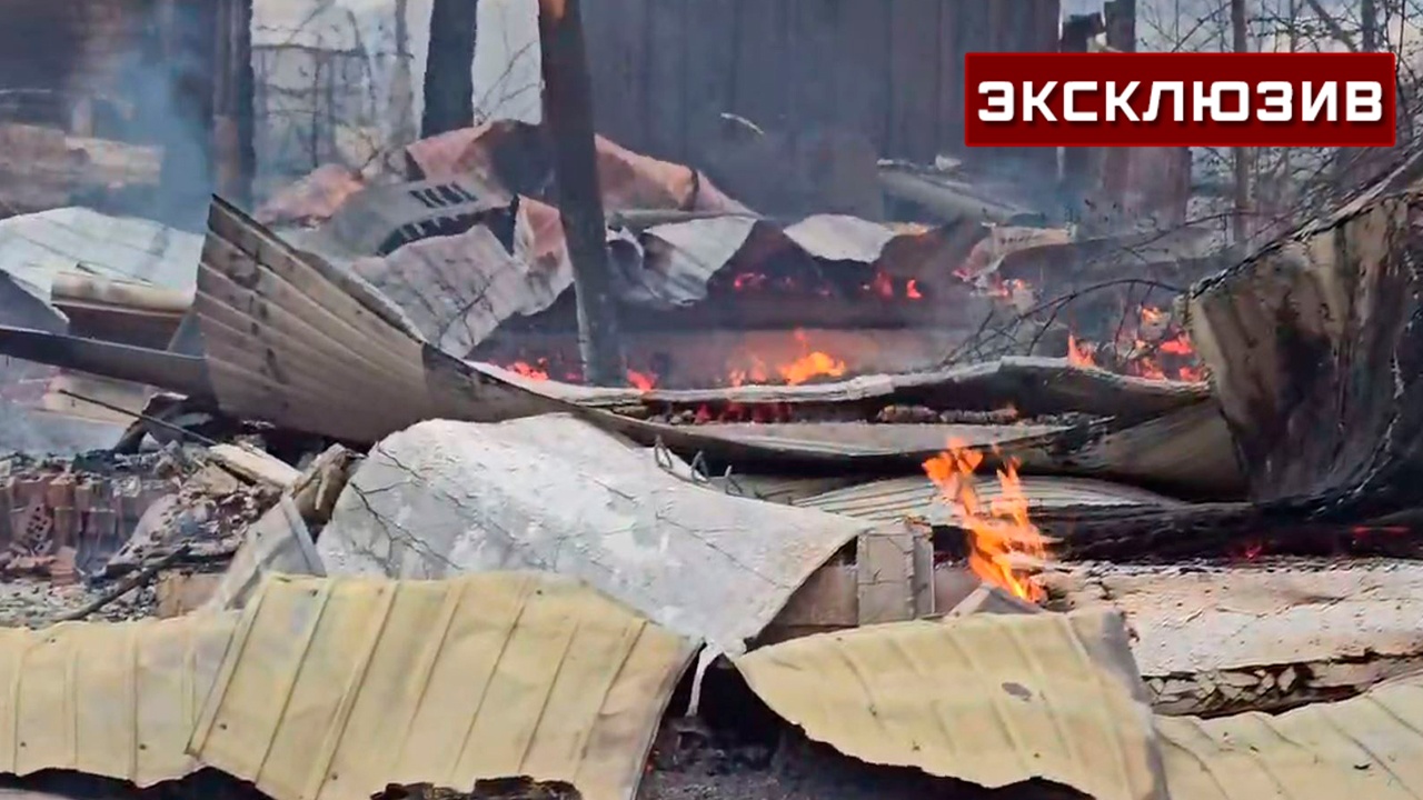 Появились кадры из полыхавшего в лесном пожаре забайкальского села Появились кадры из полыхавшего в лесном пожаре забайкальского села