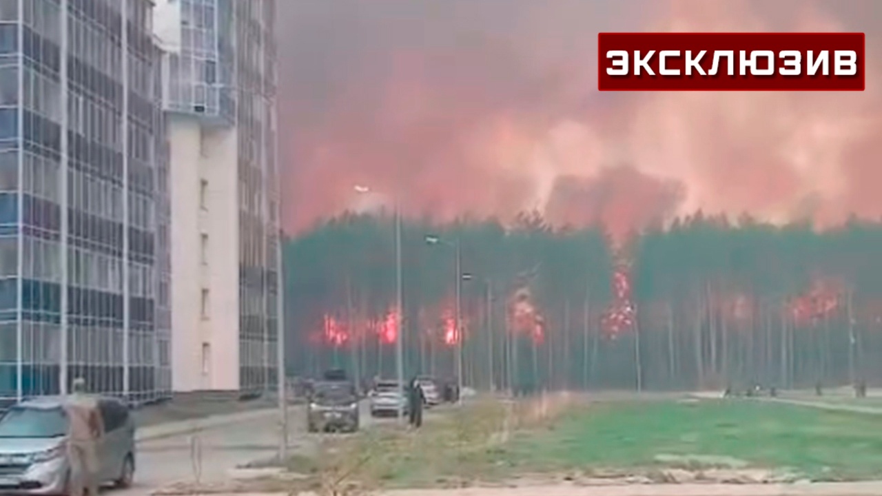 В МЧС оценили опасность мощного лесного пожара для города Циолковский В МЧС оценили опасность мощного лесного пожара для города Циолковский