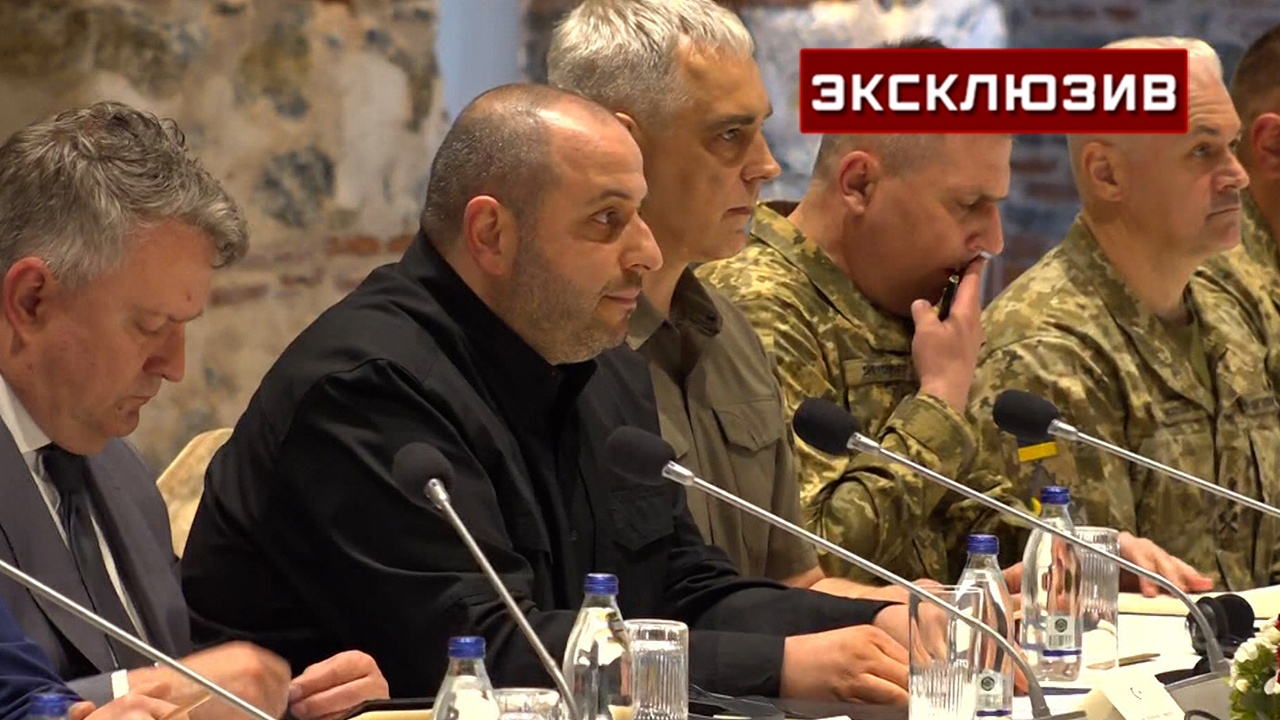 Азаров оценил состав украинской делегации на переговорах в Стамбуле Азаров оценил состав украинской делегации на переговорах в Стамбуле