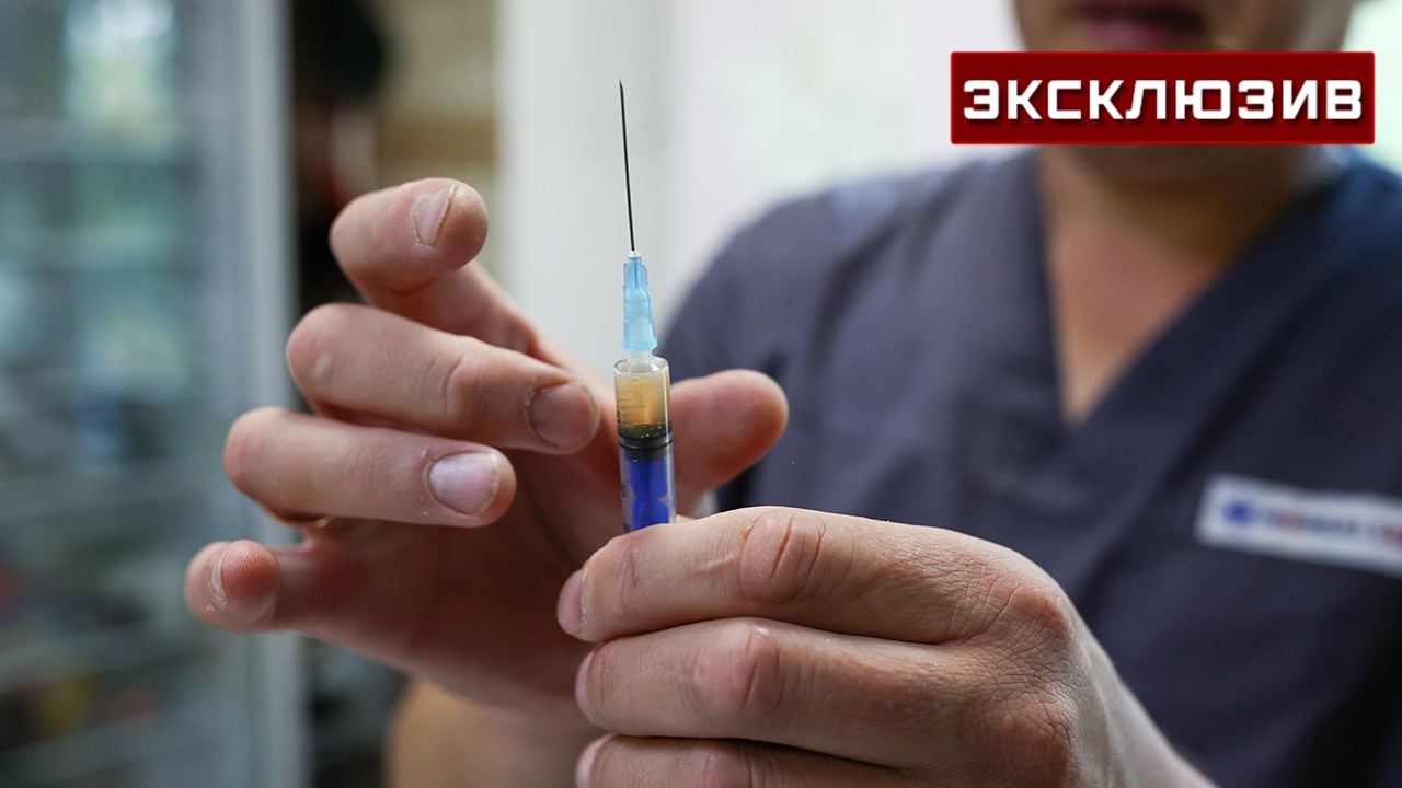 Врач о птичьем гриппе: один человек может заразить сразу 100 Врач о птичьем гриппе: один человек может заразить сразу 100