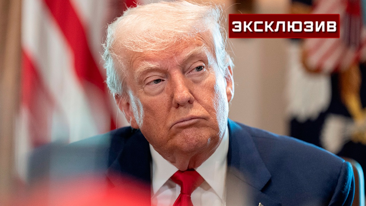 Американист назвал пошлины Трампа на сталь в 50% главным ударом по ЕС Американист назвал пошлины Трампа на сталь в 50% главным ударом по ЕС