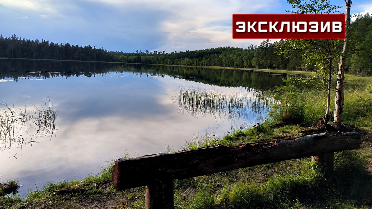 Россиян предупредили о бактериях, живущих в «запретных» водоемах Россиян предупредили о бактериях, живущих в «запретных» водоемах